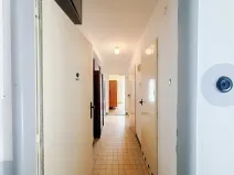 Prodej bytu 3+1, Vysoké Mýto, V Zahrádkách, 70 m2