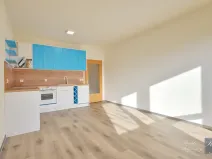 Pronájem bytu 1+kk, Ústí nad Labem, Baráčnická, 30 m2