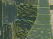 Prodej lesa, Slabčice - Nemějice, 1004 m2
