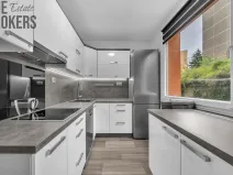 Prodej bytu 2+1, Ústí nad Labem - Severní Terasa, Kmochova, 61 m2