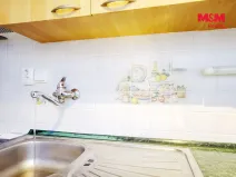 Pronájem bytu 1+1, Plasy, Potoční, 42 m2