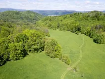 Prodej louky, Děčín, 22595 m2