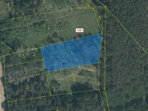 Dražba lesa, Louňovice pod Blaníkem, 4236 m2