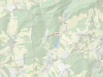 Dražba lesa, Ludkovice, 10351 m2