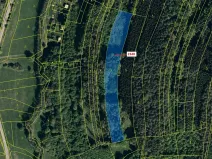 Dražba lesa, Ludkovice, 10351 m2