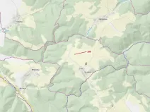 Dražba lesa, Jenišovice, 568 m2