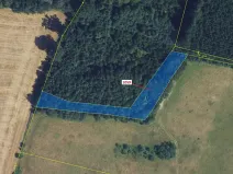 Dražba lesa, Městečko Trnávka, 2241 m2