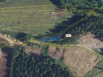 Dražba lesa, Bělá u Jevíčka, 198 m2