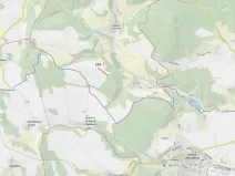 Dražba lesa, Bělá u Jevíčka, 498 m2