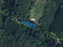 Dražba lesa, Horní Studénky, 860 m2