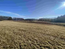 Dražba louky, Kváskovice, 10470 m2