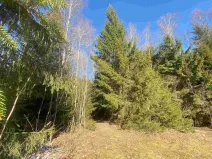 Prodej pole, Železná Ruda - Špičák, 1644 m2