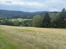 Prodej louky, Hamry, 84928 m2