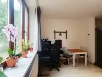 Prodej bytu 1+kk, Brno, Gallašova, 28 m2