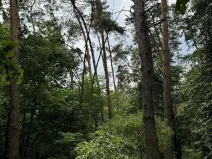 Prodej podílu pozemku, Kojice, 604 m2