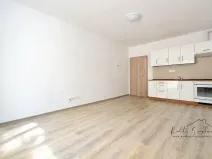Pronájem bytu 1+kk, Olomouc, Frištenského, 32 m2