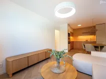 Prodej bytu 2+kk, Brno, Koniklecová, 49 m2