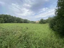 Prodej pozemku, Písečné - Slavětín, 4446 m2