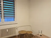 Pronájem bytu 1+1, Frýdek-Místek, Javorová, 35 m2