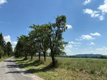 Prodej pozemku pro bydlení, Chocnějovice, 5604 m2