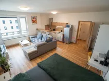 Prodej bytu 1+kk, České Budějovice, České Vrbné, 45 m2
