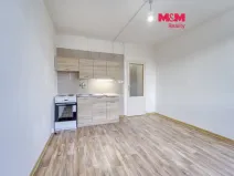 Pronájem bytu 1+kk, Plzeň - Doudlevce, Šimerova, 20 m2