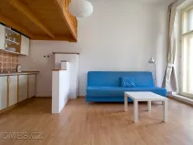 Pronájem bytu 1+kk, Praha - Smíchov, Jindřicha Plachty, 26 m2