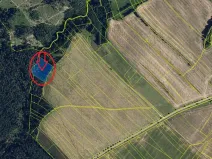 Prodej lesa, Bílá Lhota, 6162 m2