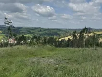Prodej lesa, Chlum, 5098 m2