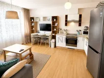 Pronájem bytu 2+kk, Plzeň, Klatovská třída, 43 m2