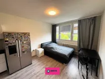 Prodej bytu 1+kk, Brno, Halasovo náměstí, 24 m2