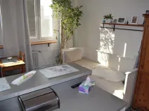 Prodej bytu 1+kk, Brno, Halasovo náměstí, 23 m2