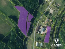 Prodej podílu lesa, Kobylá nad Vidnavkou, 1161 m2