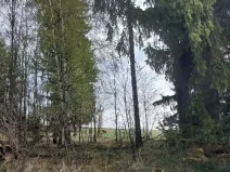 Prodej lesa, Žirovnice, 1258 m2