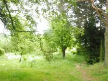 Dražba zahrady, Horní Cerekev, 365 m2