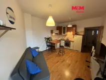 Pronájem bytu 2+kk, Ostrava, Michálkovická, 39 m2