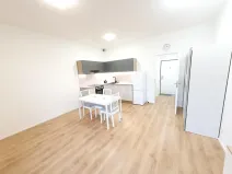 Pronájem bytu 1+kk, Beroun, U Židovského hřbitova, 46 m2