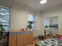 Prodej bytu 1+1, Brno, Cejl, 33 m2