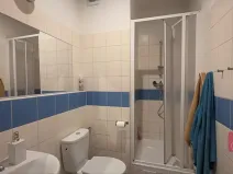 Prodej bytu 1+1, Brno, Cejl, 33 m2
