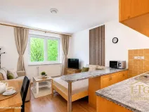 Pronájem bytu 1+kk, Dobšice, V Zahradách, 28 m2