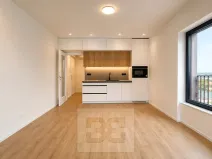 Pronájem bytu 1+kk, Brno, Pod Kavkami, 30 m2