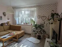 Pronájem bytu 1+1, Opava, Hany Kvapilové, 38 m2