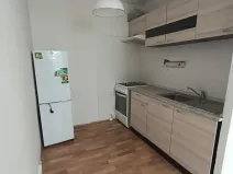 Prodej bytu 1+kk, Duchcov, V Domkách, 34 m2