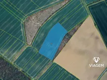 Prodej podílu pole, Zlobice, 481 m2
