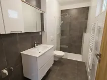 Pronájem bytu 3+kk, Domažlice, Tovární, 55 m2