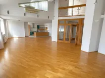 Pronájem bytu 5+kk, Praha - Vinohrady, Mánesova, 300 m2