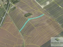 Prodej podílu pole, Činěves, 38441 m2