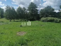 Prodej pozemku pro bydlení, Borová, 1405 m2