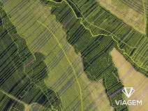 Prodej podílu pole, Popovice, 1440 m2