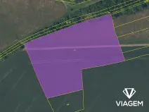 Prodej podílu pole, Žitenice, 2078 m2